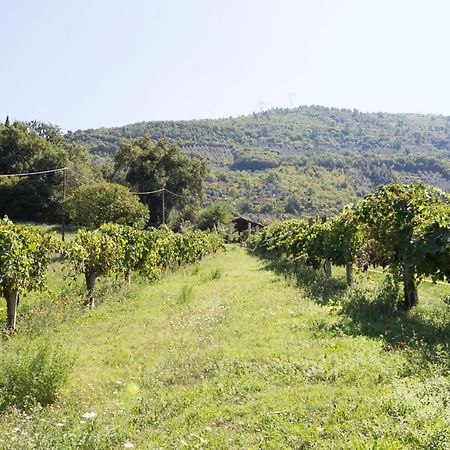 Agriturismo I Melograni Ferentillo Exterior photo
