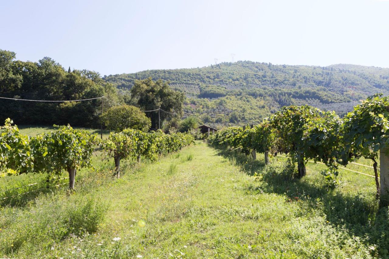Agriturismo I Melograni Ferentillo Exterior photo
