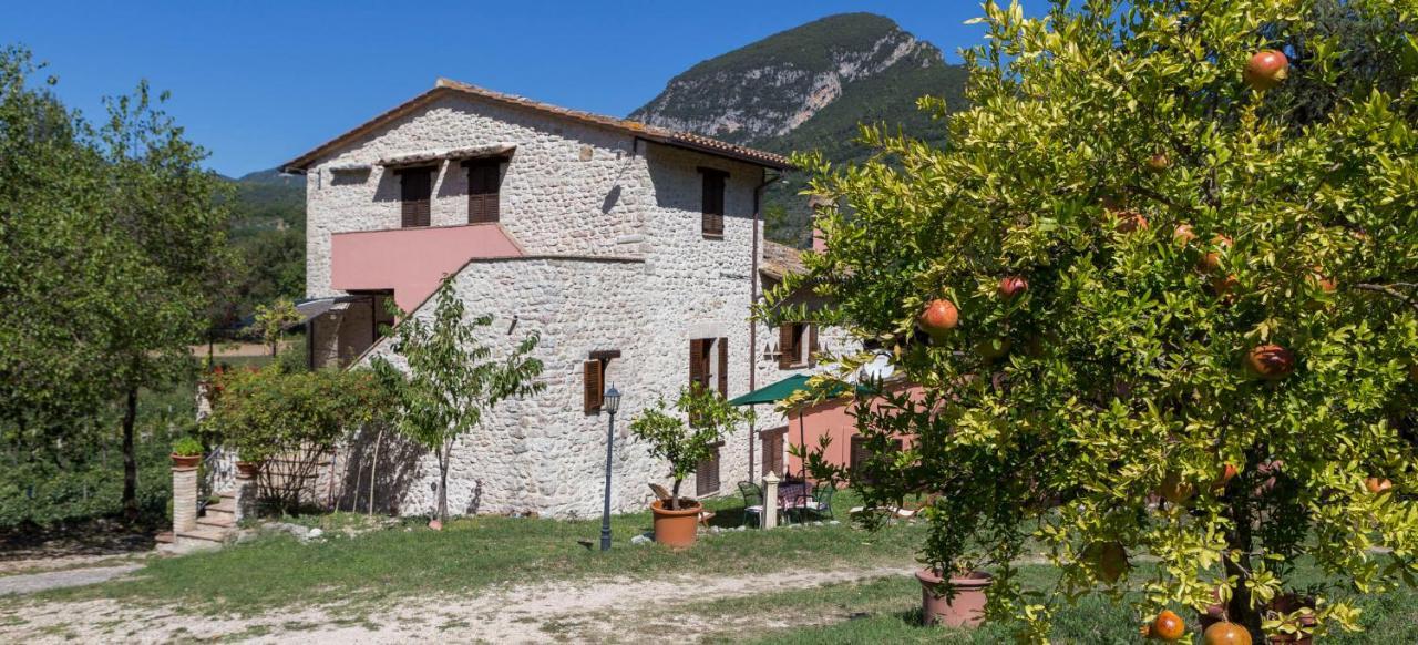 Agriturismo I Melograni Ferentillo Exterior photo